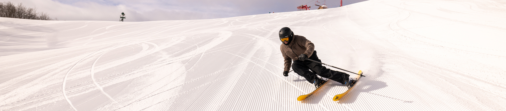 Skier Carving Dories Bowl